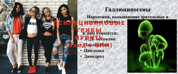 ECSTASY Балабаново