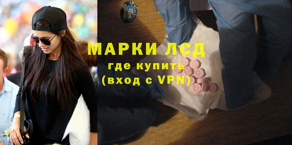 прущие грибы Армянск