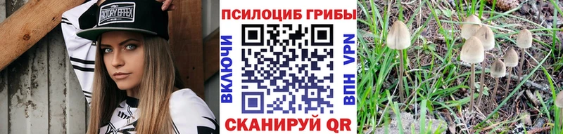 Галлюциногенные грибы Psilocybine cubensis  купить закладку  Верхний Уфалей 