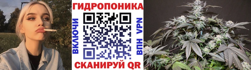 Канабис Amnesia  гидра зеркало  Верхний Уфалей  продажа наркотиков 